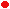 Red Dot